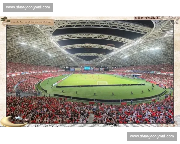 激情与荣耀交织的赛场瞬间年度体育赛事回顾特辑热血拼搏与梦想荣光